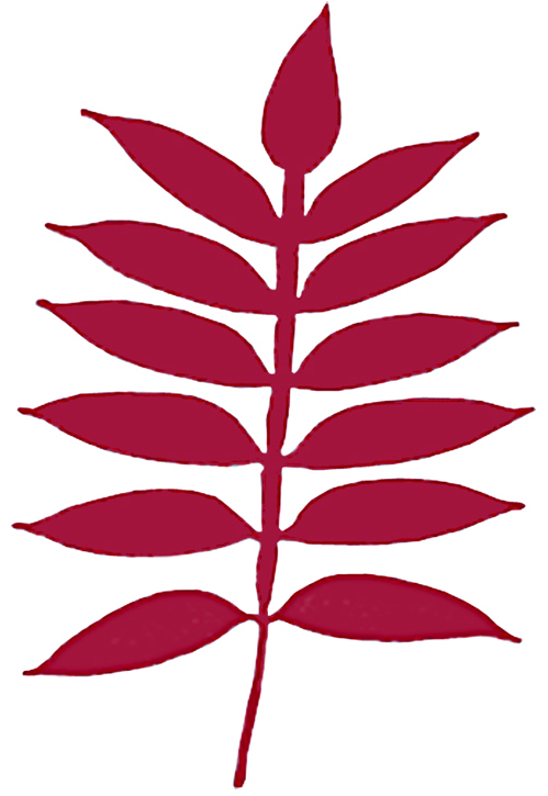 Sumac